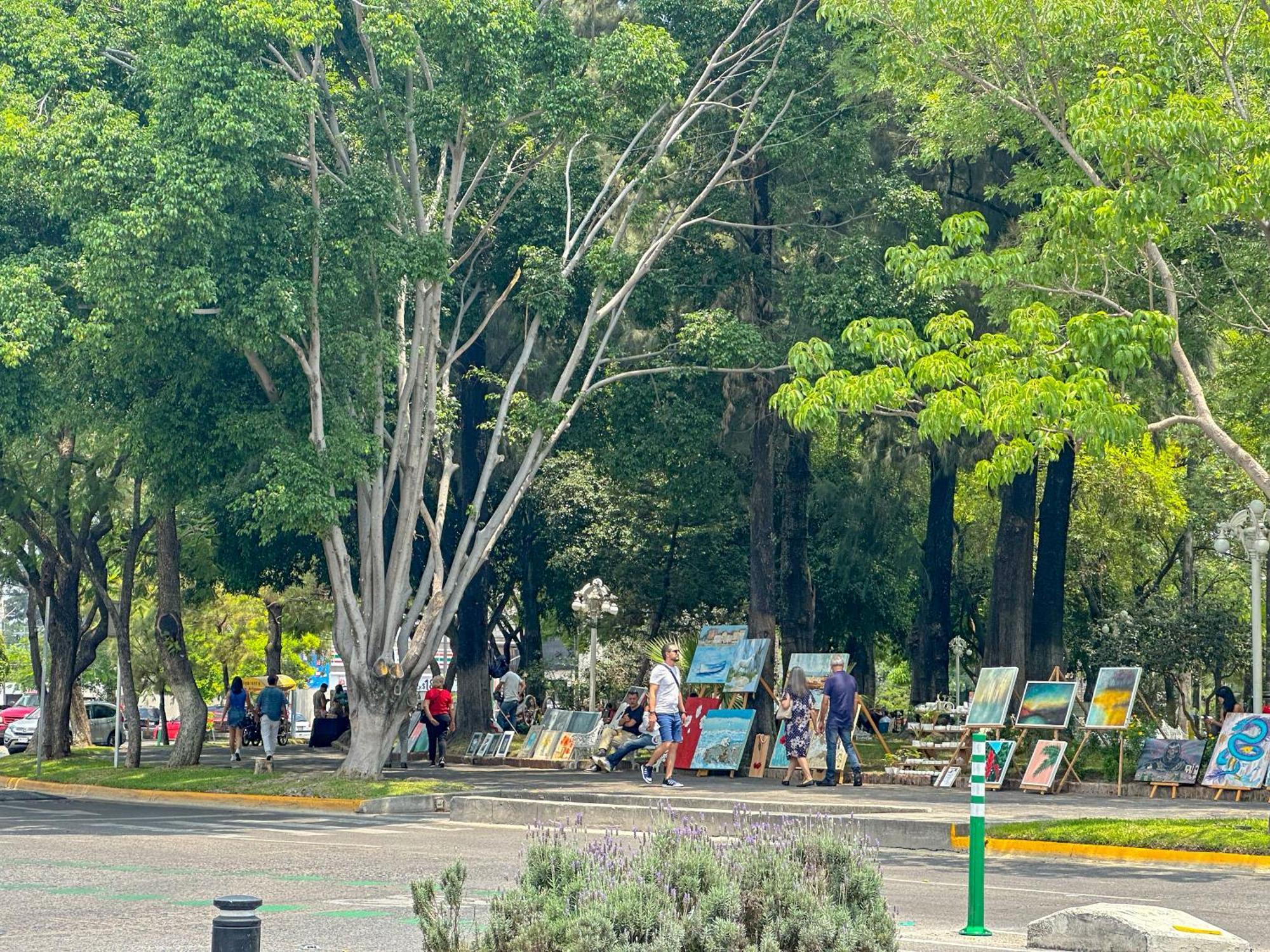Refugio Agradable En Chapalita Estilo Clasico 12 Guadalajara Exteriér fotografie